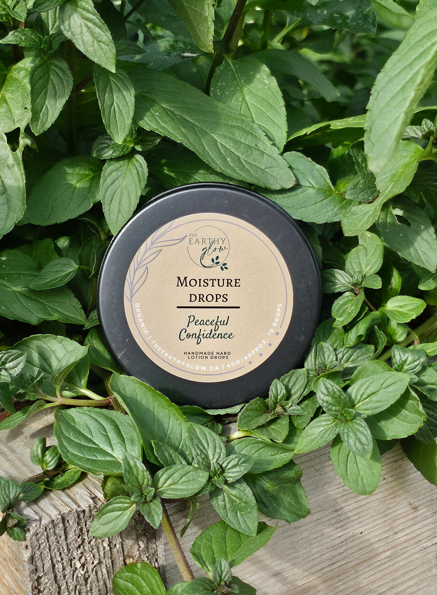 Moisture Drop - Medium travel container