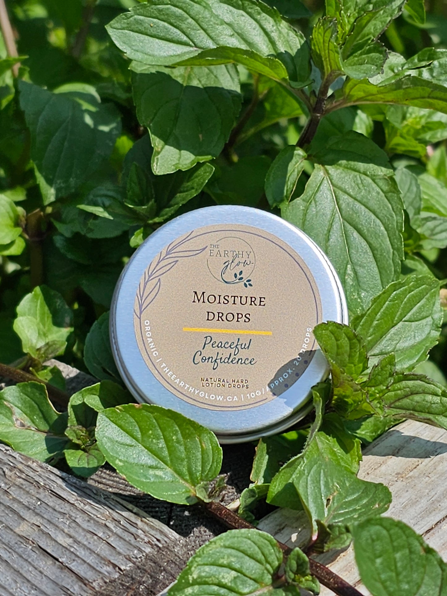 Moisture Drop - Small travel container