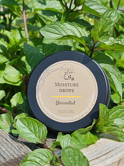 Moisture Drop - Medium travel container