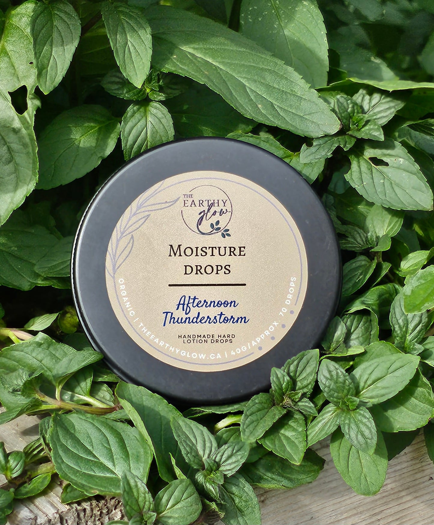 Moisture Drop - Medium travel container