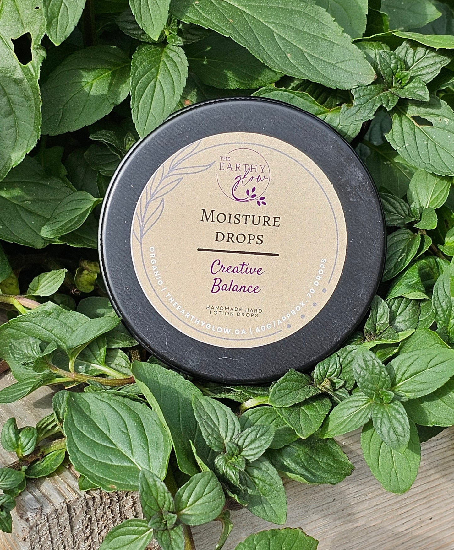 Moisture Drop - Medium travel container