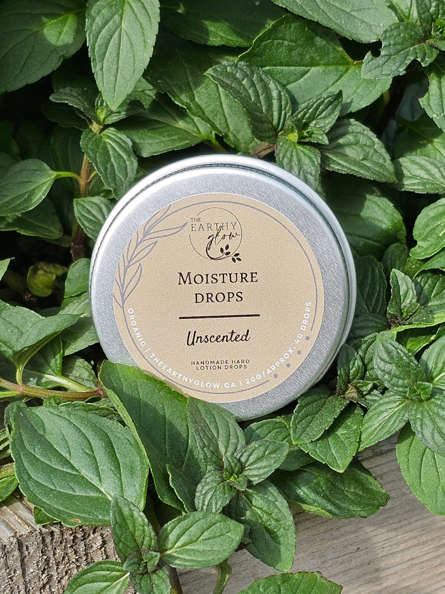 Moisture Drop - Small travel container